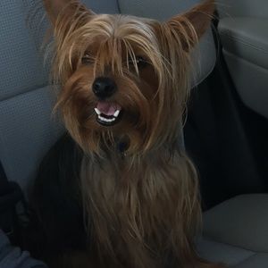 Meet your Posher, Amanda